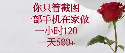 你只管截图,一部手机在家操作,一小时120.一天5张【揭秘】-轻创社项目网