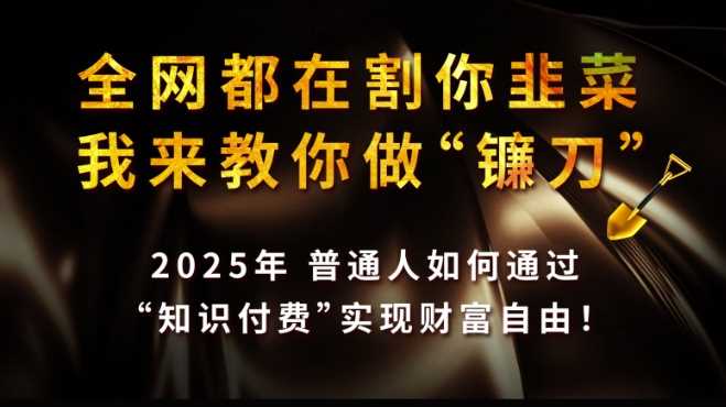 全网都在割你韭菜,我来教你做镰刀,2025普通人如何通过知识付费,实现财F自由【揭秘】-轻创社项目网