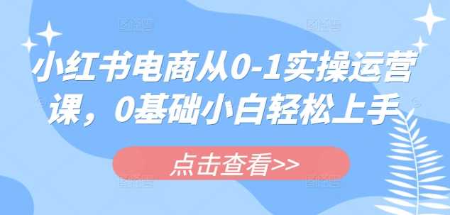 小红书电商从0-1实操运营课,0基础小白轻松上手-轻创社项目网