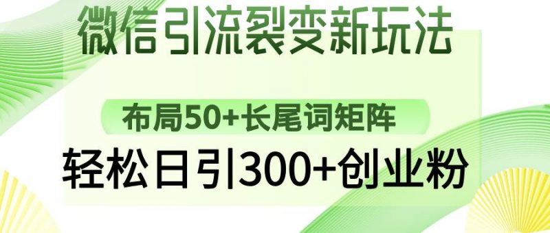 (14451期)微信引流裂变新玩法:布局50+长尾词矩阵,轻松日引300+创业粉-轻创社项目网