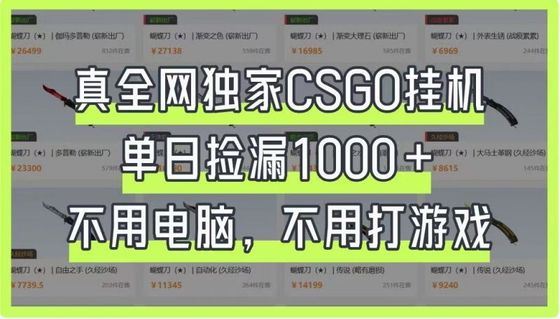 真全网独家CSGO挂机,单日捡漏1000+,不用电脑,不用养号-轻创社项目网