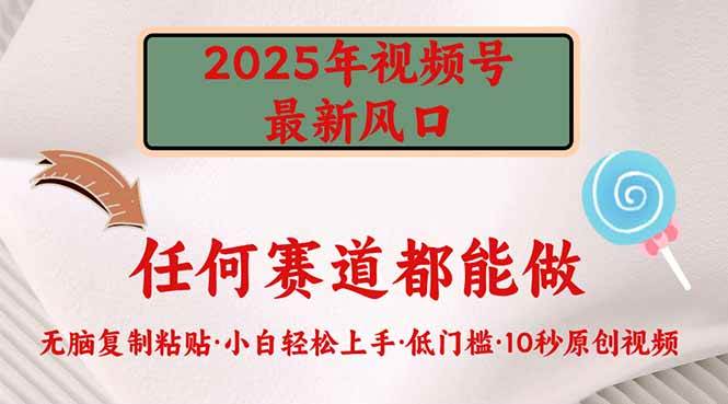 (14453期)2025年视频号新风口,低门槛只需要无脑执行-轻创社项目网