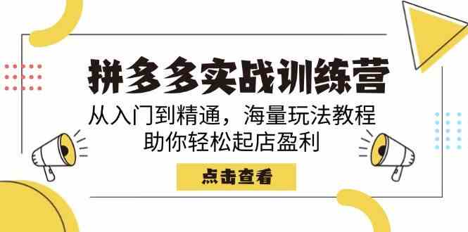 拼多多实战训练营,从入门到精通,海量玩法教程,助你轻松起店盈利-轻创社项目网