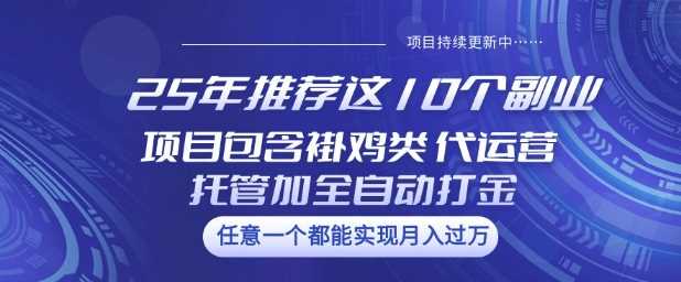 25年推荐这10个副业项目包含褂鸡类、代运营托管类、全自动打金类【揭秘】-轻创社项目网