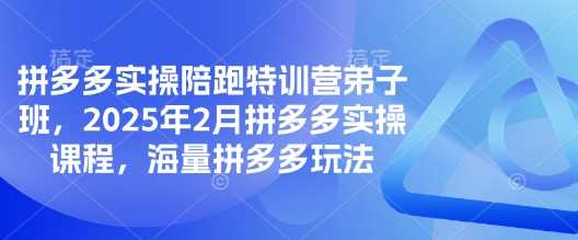 拼多多实操陪跑特训营弟子班,2025年2月拼多多实操课程,海量拼多多玩法-轻创社项目网