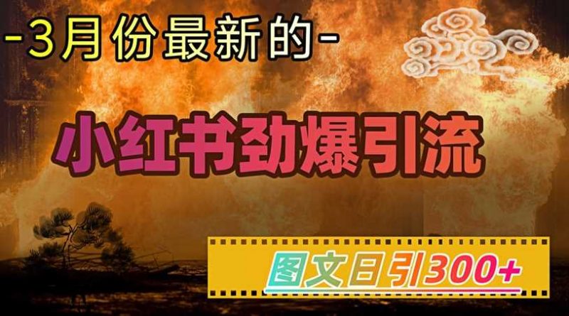 小红书超劲爆引流手段,图文日引300+轻松变现1W-轻创社项目网