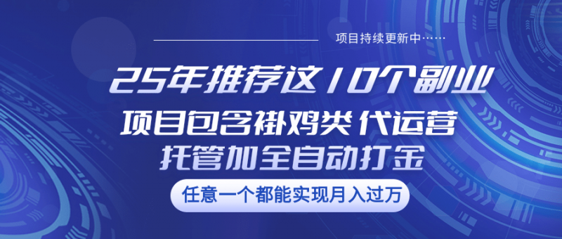 25年推荐这10个副业 项目包含褂鸡类、代运营托管类、全自动打金类-轻创社项目网