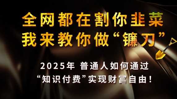 全网都在割你韭菜，我来教你做镰刀，2025普通人如何通过知识付费，实现财F自由【揭秘】-轻创社项目网