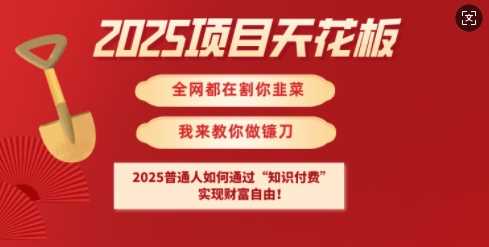 2025项目天花板普通人如何通过知识付费,实现财F自由【揭秘】-轻创社项目网