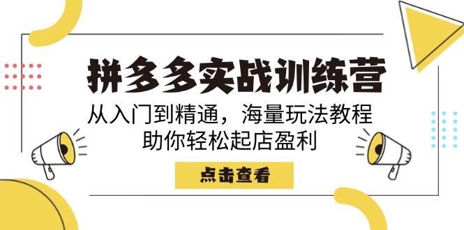 (14392期)拼多多实战训练营,从入门到精通,海量玩法教程,助你轻松起店盈利-轻创社项目网
