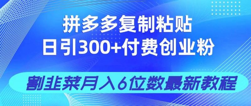 (14232期)拼多多复制粘贴日引300+付费创业粉,割韭菜月入6位数最新教程!-轻创社项目网