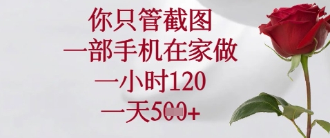 你只管截图,一部手机在家做,苹果安卓都可以,一小时120,一天5张+【揭秘】-轻创社项目网