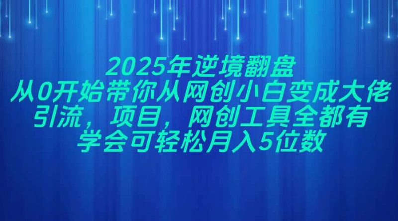 (14473期)2025年逆境翻盘,从0开始带你从网创小白变成大佬,引流,项目,网创工…-轻创社项目网