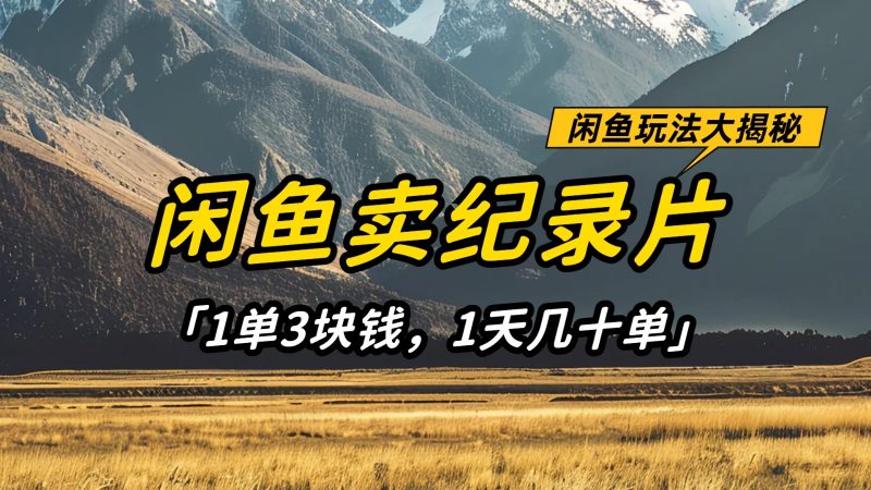 闲鱼卖纪录片,简单又赚钱的小项目,1单3块钱 1天几十单-轻创社项目网