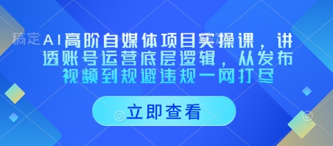 AI高阶自媒体项目实操课,讲透账号运营底层逻辑,从发布视频到规避违规一网打尽-轻创社项目网