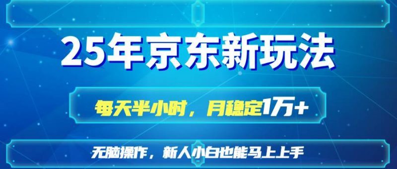 (14309期)25京东新玩法,每天半小时,月稳定1W+-轻创社项目网