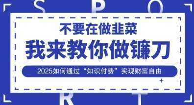 韭菜生涯终结者,我来教你做镰刀,2025如何通过“知识付费”实现财F自由【揭秘】-轻创社项目网