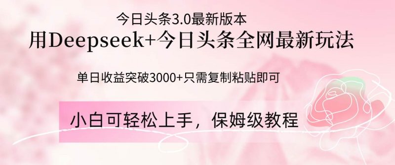 (14452期)Deepseek结合今日头条全网最新玩法,单日收益突破3000+,只需要简单的…-轻创社项目网