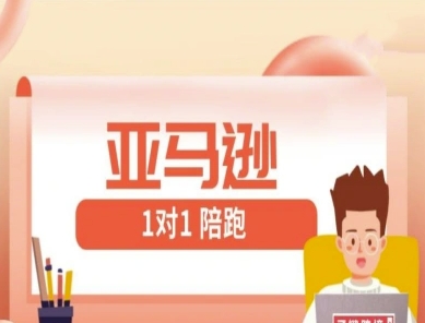 亚马逊1对1陪跑课(FBA/FBM精铺)跨境亚马逊教程-轻创社项目网