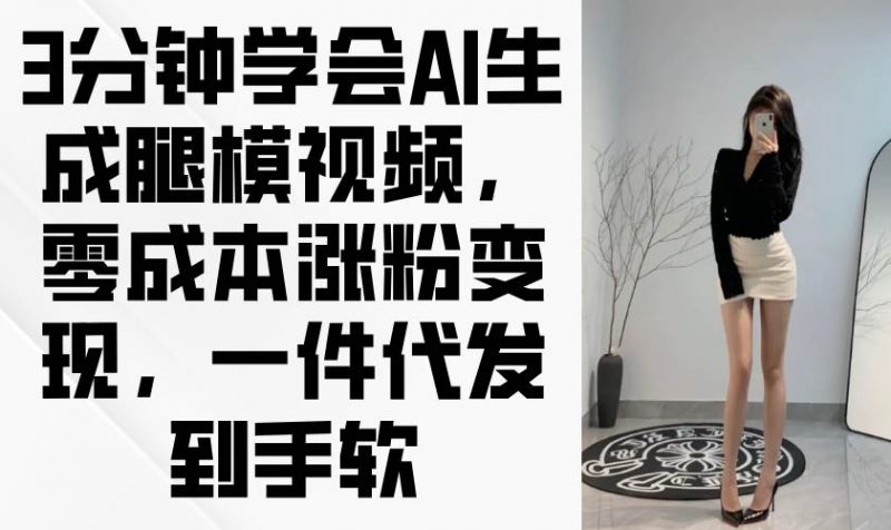 (14537期)3分钟学会AI生成腿模视频,零成本涨粉变现,一件代发到手软-轻创社项目网