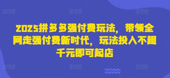 2025拼多多强付费玩法,带领全网走强付费新时代,玩法投入不超千元即可起店-轻创社项目网