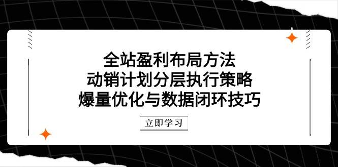 图片[1]_（14698期）全站盈利布局方法：动销计划分层执行策略，爆量优化与数据闭环技巧