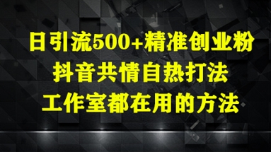 日引流500+精准创业粉,抖音共情自热打法,工作室都在用的方法-轻创社项目网