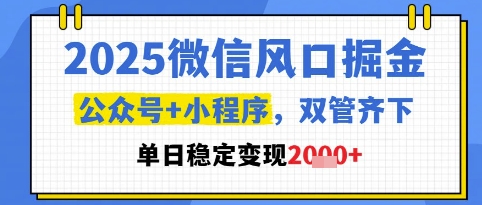 2025微信风口掘金,公众号+小程序双管齐下,单日稳定变现1k+【揭秘】-轻创社项目网