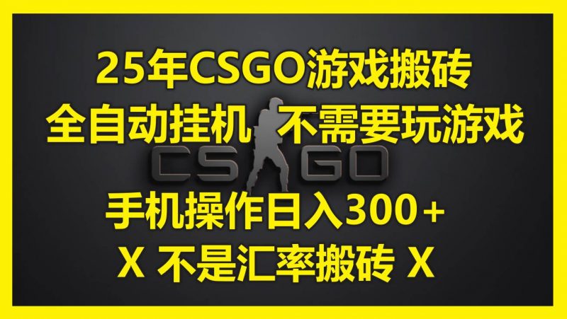(14902期)25年CSGO游戏搬砖,全自动挂机,不需要玩游戏,手机操作日入300+。(不…-轻创社项目网
