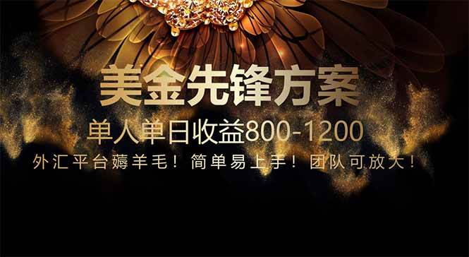 (14761期)免费技术!小众赛道!一年布局抵三年努力,每日800+-轻创社项目网