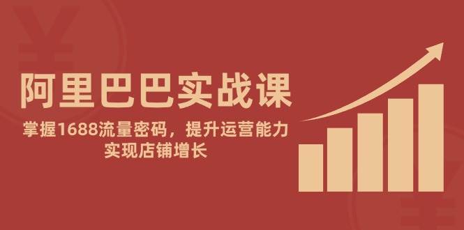 (14830期)阿里巴巴实战课:掌握1688流量密码,提升运营能力,实现店铺增长-轻创社项目网