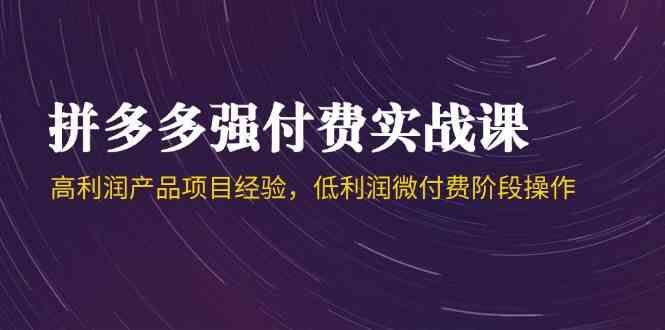 拼多多强付费实战课-44期,高利润产品项目经验,低利润微付费阶段操作-轻创社项目网