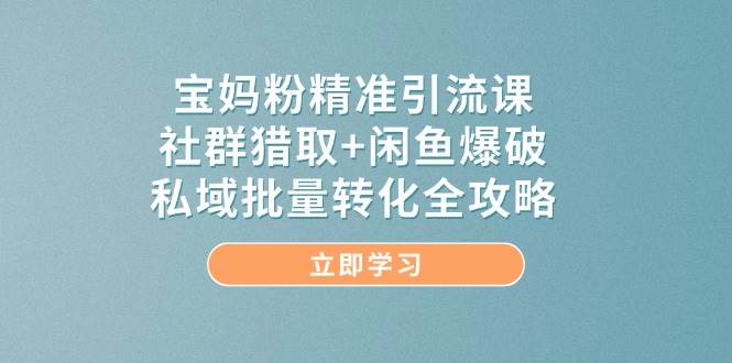 (14820期)宝妈粉精准引流课,社群猎取+闲鱼爆破,私域批量转化全攻略-轻创社项目网