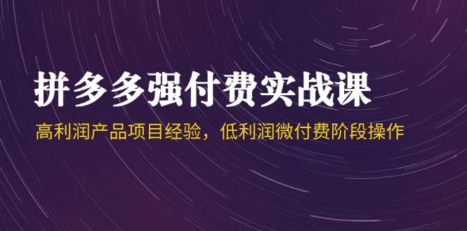 (14874期)拼多多强付费实战课-44期,高利润产品项目经验,低利润微付费阶段操作-轻创社项目网