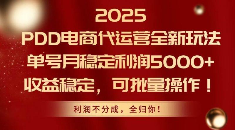 (14839期)2025PDD电商代运营全新玩法,单号月稳定利润5000+,收益稳定,可批量操作-轻创社项目网