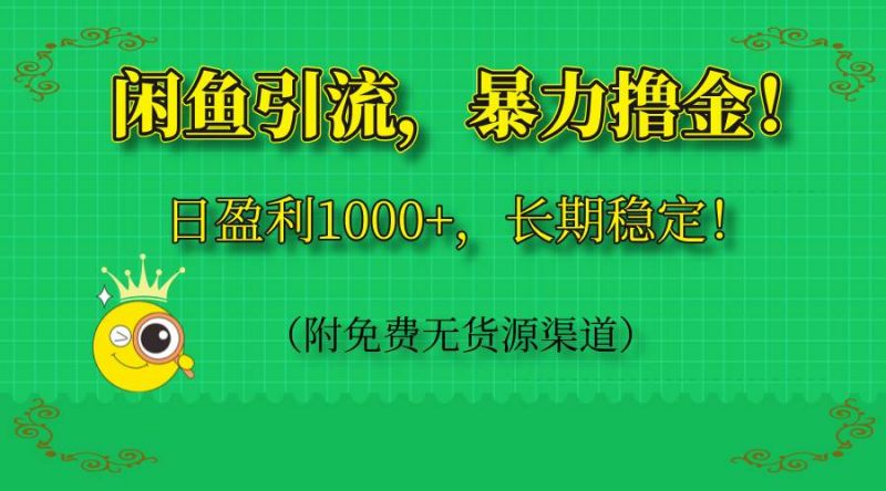 (14647期)闲鱼引流,暴力撸金,日盈利1000+,长期稳定!(附免费无货源渠道)-轻创社项目网