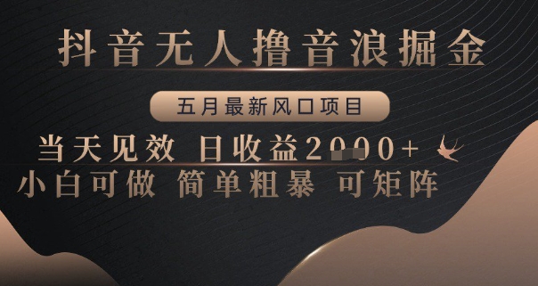 抖音无人撸音浪掘金,五月最新风口项目,当天见效,日收益多张,小白可做简单粗暴可矩阵【揭秘】-轻创社项目网