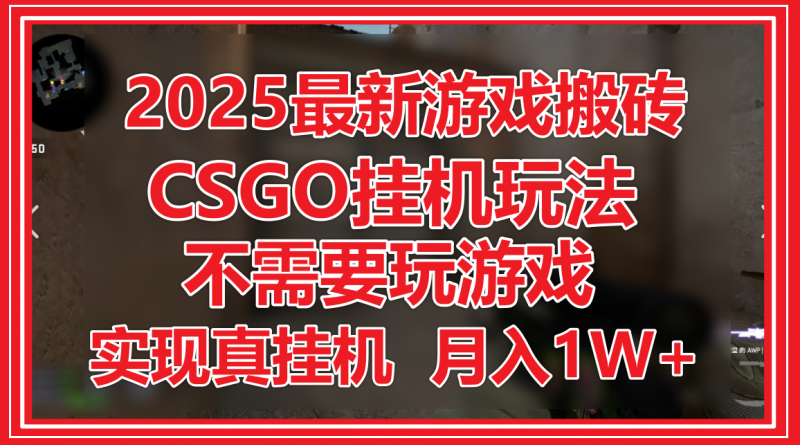 2025最新游戏搬砖,CSGO挂机,不需要玩游戏,实现真挂机,月入1W+-轻创社项目网