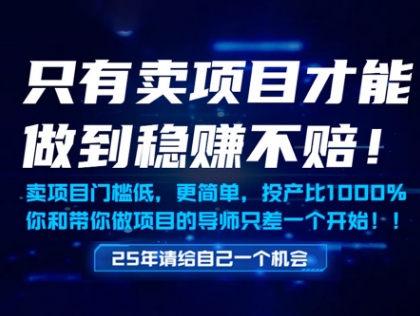 只有卖项目才能做到稳挣不赔,门槛低,更简单,你也可以年入百个W【揭秘】-轻创社项目网