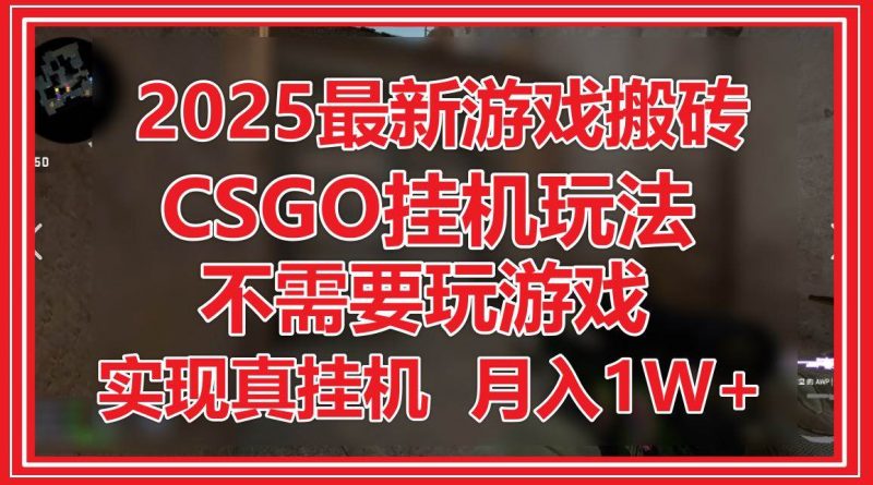 (14743期)2025最新游戏搬砖,CSGO挂机,不需要玩游戏,实现真挂机,月入1W+-轻创社项目网