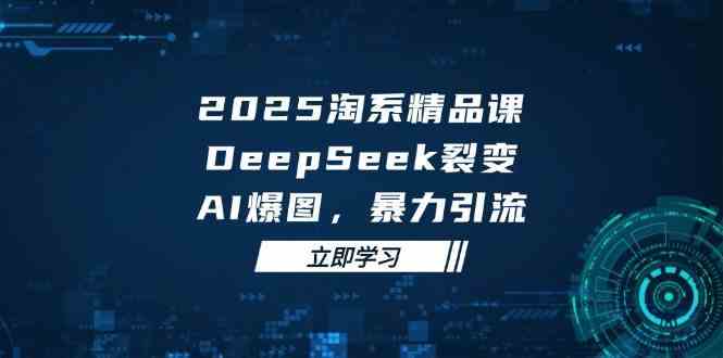2025无界精品课,DeepSeek裂变,AI爆图,暴力引流助力淘系运营-轻创社项目网