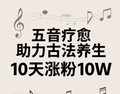古法五音养生教程,五音疗愈的视频的制作方法,2-4小时就能学会,作者10天涨粉10W-轻创社项目网