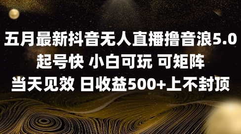 2025五月最新无人直播撸音浪单日产出5张+实操教程【揭秘】-轻创社项目网