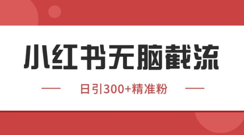 小红书只要你有同行就能获客,独家野路子获客玩法,暴力截流【揭秘】-轻创社项目网