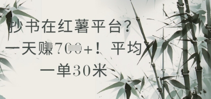 抄书在小红薯平台?平均一单30米,一天收益几张!-轻创社项目网