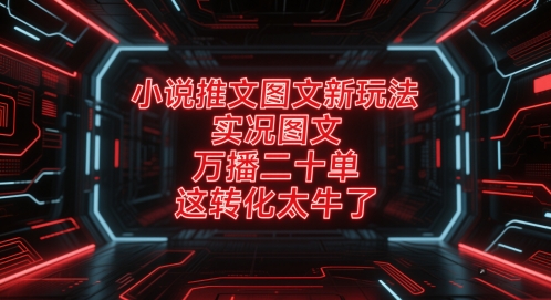 小说推文图文新玩法,实况图文,万播二十单,这转化太牛了!-轻创社项目网