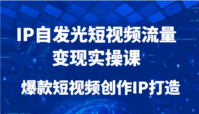 IP自发光短视频流量变现实操课,爆款短视频创作IP打造-轻创社项目网