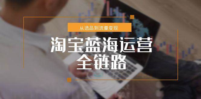 (15160期)淘宝蓝海运营全链路,从选品到流量变现,小类目突围完整方案-轻创社项目网