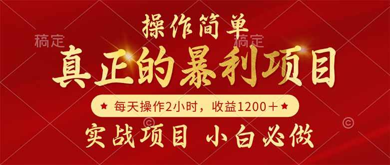 (14978期)真正的暴利项目,操作简单,每天收益1200+,自己做老板-轻创社项目网