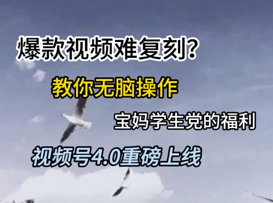 视频号4.0重磅上线,爆款视频难复刻?教你无脑操作宝妈学生党的福利【揭秘】-轻创社项目网